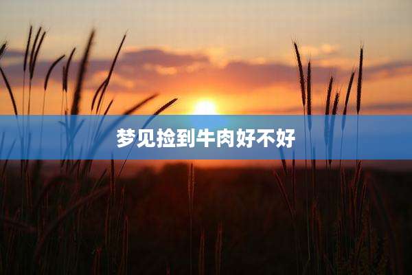 梦见捡到牛肉好不好