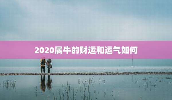 2020属牛的财运和运气如何