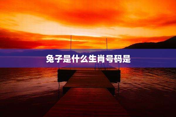 兔子是什么生肖号码是