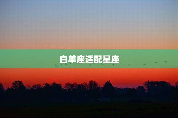 白羊座适配星座