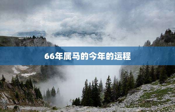 66年属马的今年的运程