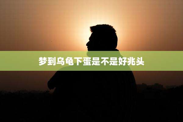 梦到乌龟下蛋是不是好兆头