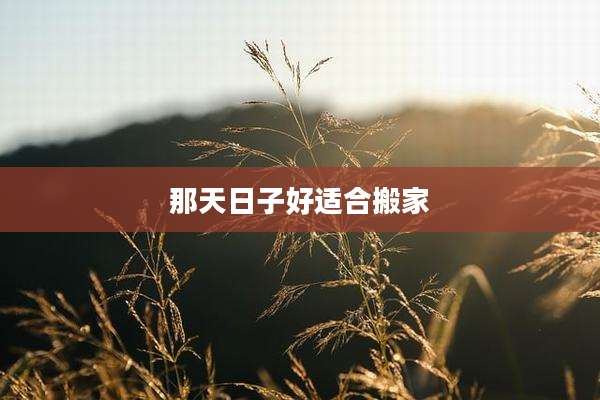 那天日子好适合搬家
