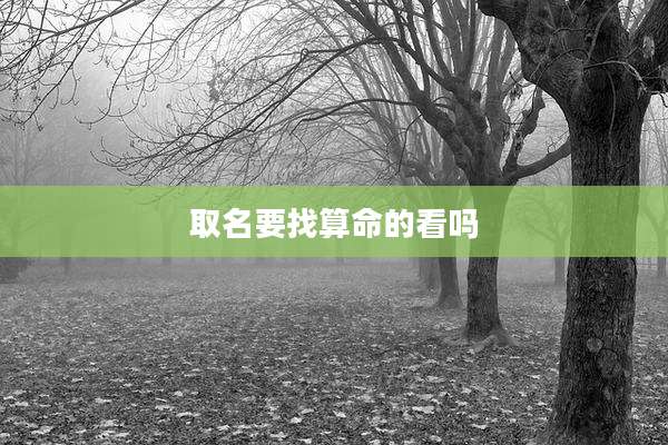 取名要找算命的看吗