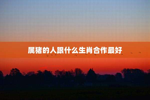 属猪的人跟什么生肖合作最好