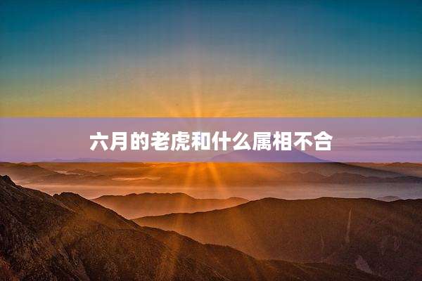 六月的老虎和什么属相不合
