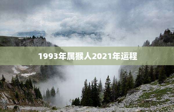 1993年属猴人2021年运程