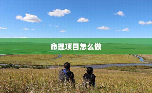 命理项目怎么做