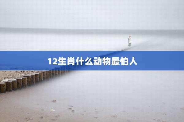12生肖什么动物最怕人