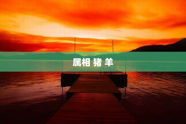 属相 猪 羊