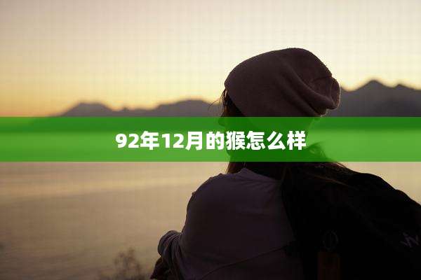 92年12月的猴怎么样