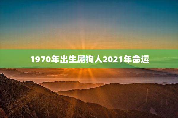 1970年出生属狗人2021年命运