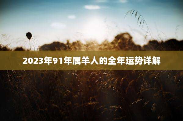 2023年91年属羊人的全年运势详解