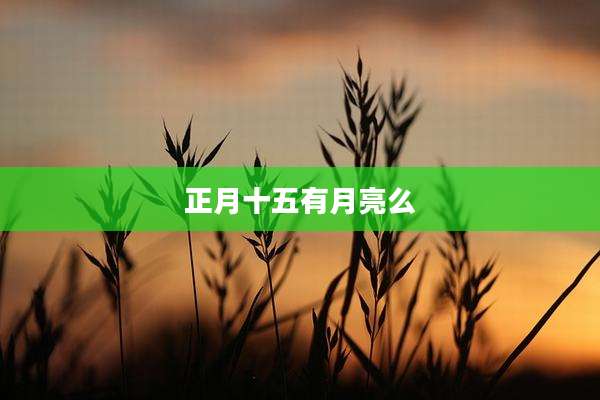 正月十五有月亮么