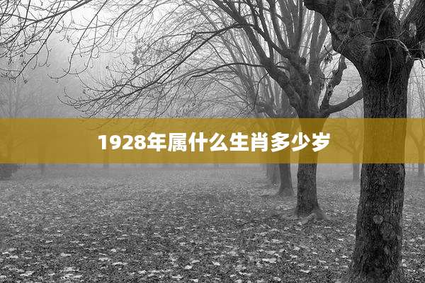 1928年属什么生肖多少岁