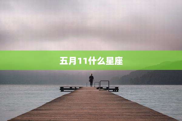 五月11什么星座