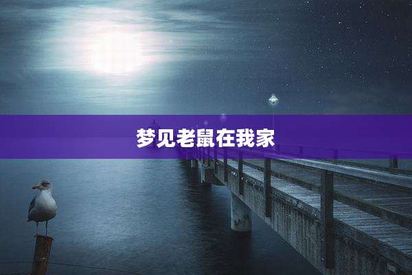 梦见老鼠在我家