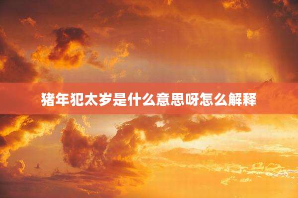 猪年犯太岁是什么意思呀怎么解释