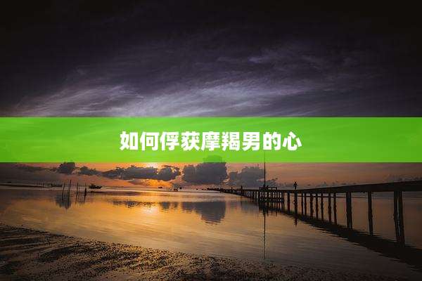 如何俘获摩羯男的心