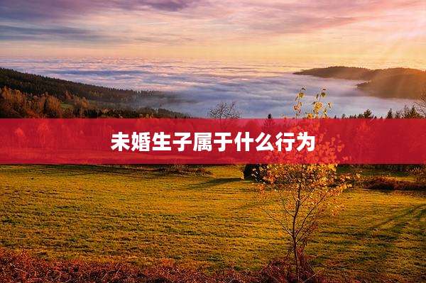 未婚生子属于什么行为