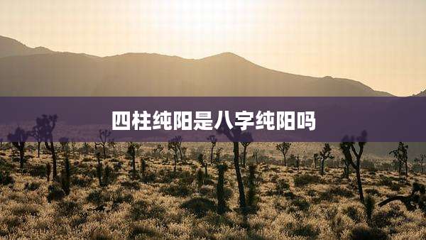 四柱纯阳是八字纯阳吗