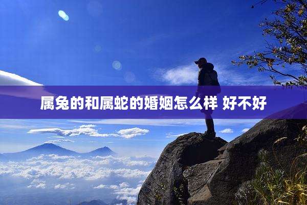 属兔的和属蛇的婚姻怎么样 好不好
