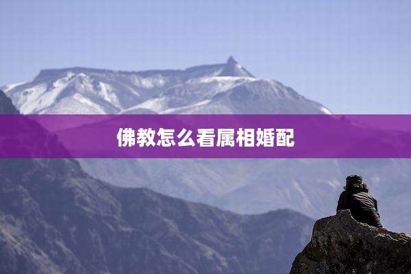 佛教怎么看属相婚配