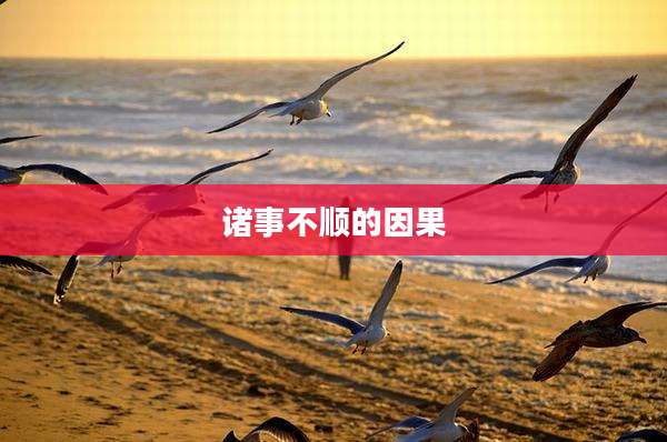 诸事不顺的因果