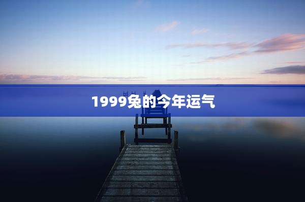 1999兔的今年运气