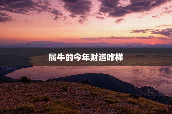 属牛的今年财运咋样
