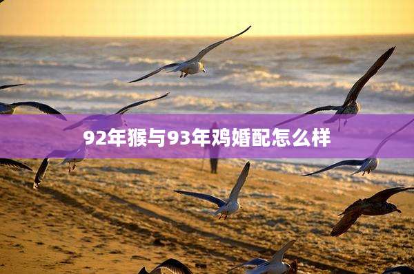 92年猴与93年鸡婚配怎么样