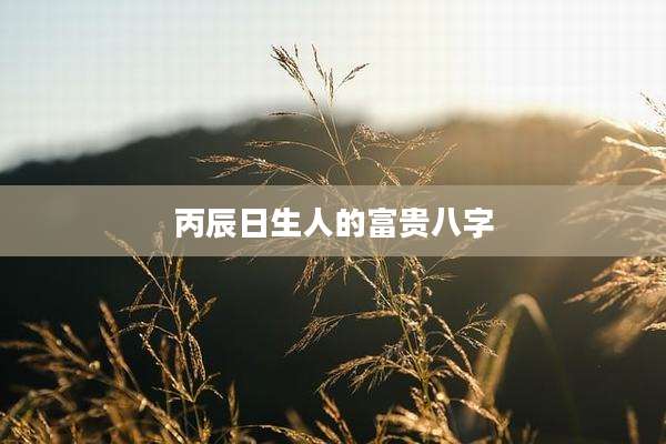 丙辰日生人的富贵八字