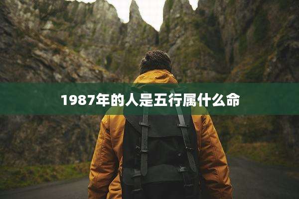 1987年的人是五行属什么命