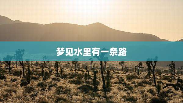 梦见水里有一条路