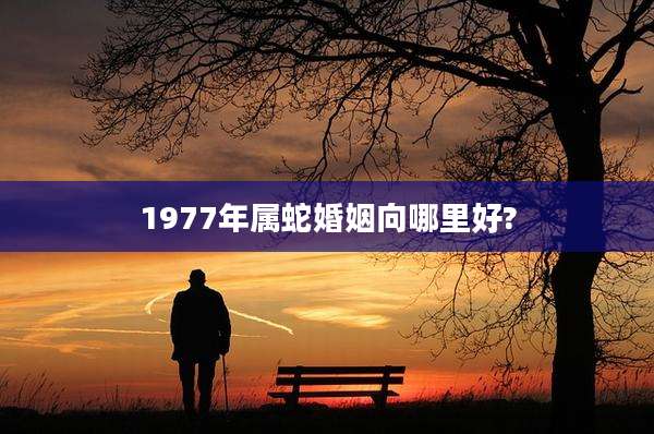 1977年属蛇婚姻向哪里好?