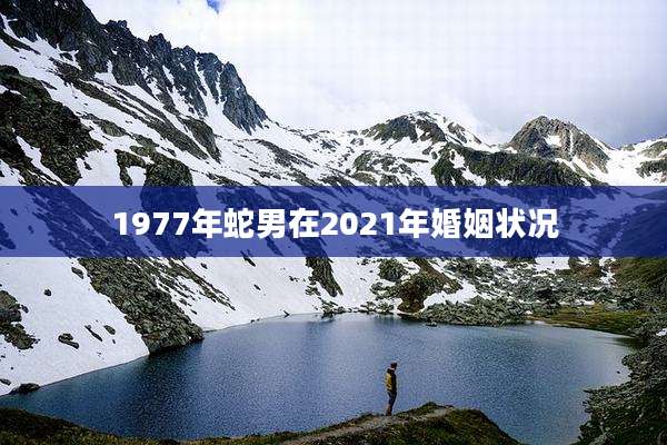 1977年蛇男在2021年婚姻状况