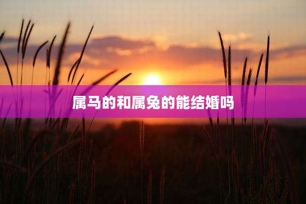 属马的和属兔的能结婚吗