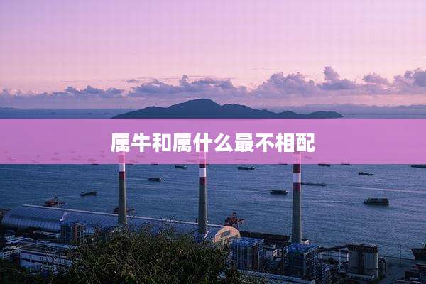 属牛和属什么最不相配