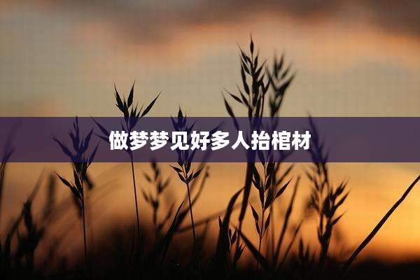 做梦梦见好多人抬棺材