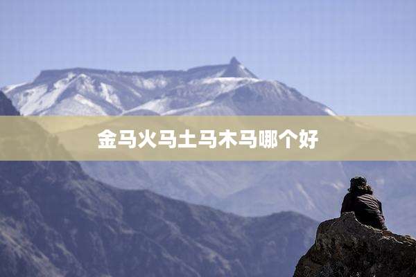 金马火马土马木马哪个好