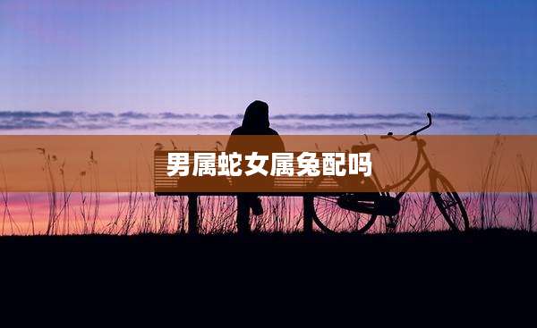 男属蛇女属兔配吗