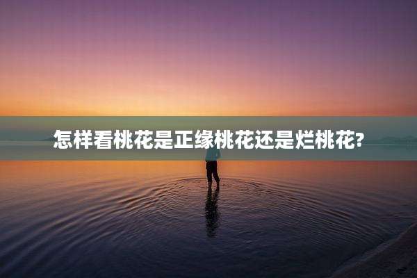 怎样看桃花是正缘桃花还是烂桃花?