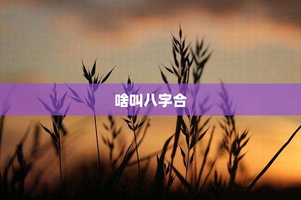 啥叫八字合
