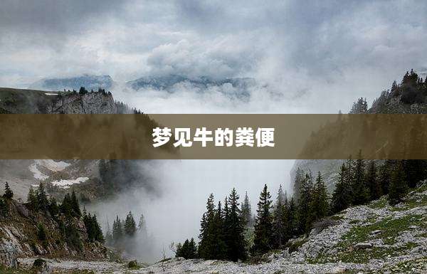 梦见牛的粪便