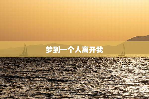 梦到一个人离开我