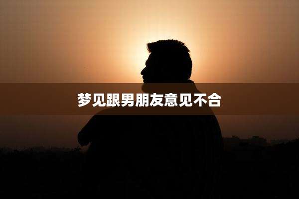 梦见跟男朋友意见不合