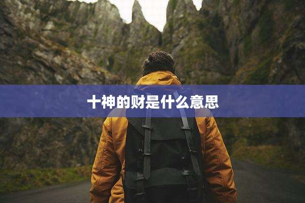 十神的财是什么意思