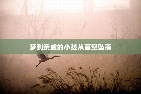 梦到亲戚的小孩从高空坠落