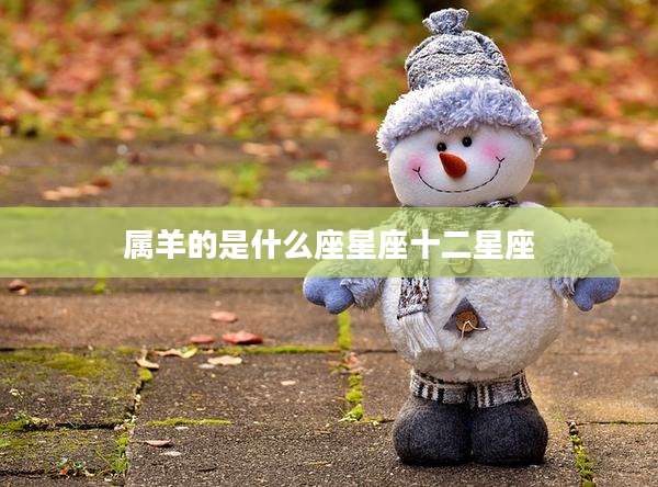 属羊的是什么座星座十二星座