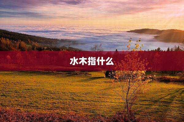 水木指什么